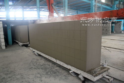 河南蒸压砂加气混凝土砌块 天孚新型墙体材料公司图片
